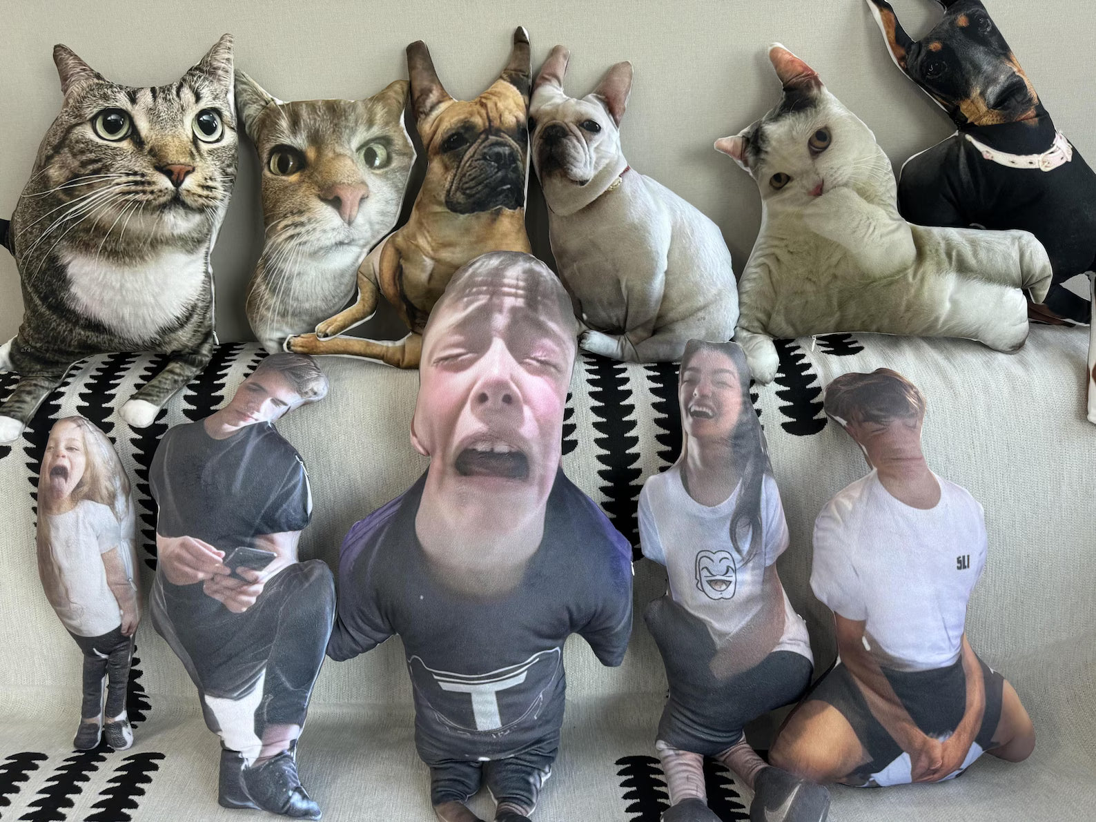 Hot Ugly Cat, pet pillow, gift for friend, custom pillow