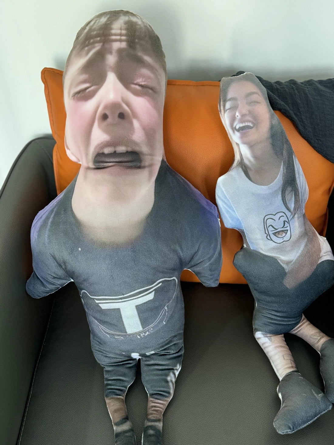 Hot Ugly Cat, pet pillow, gift for friend, custom pillow