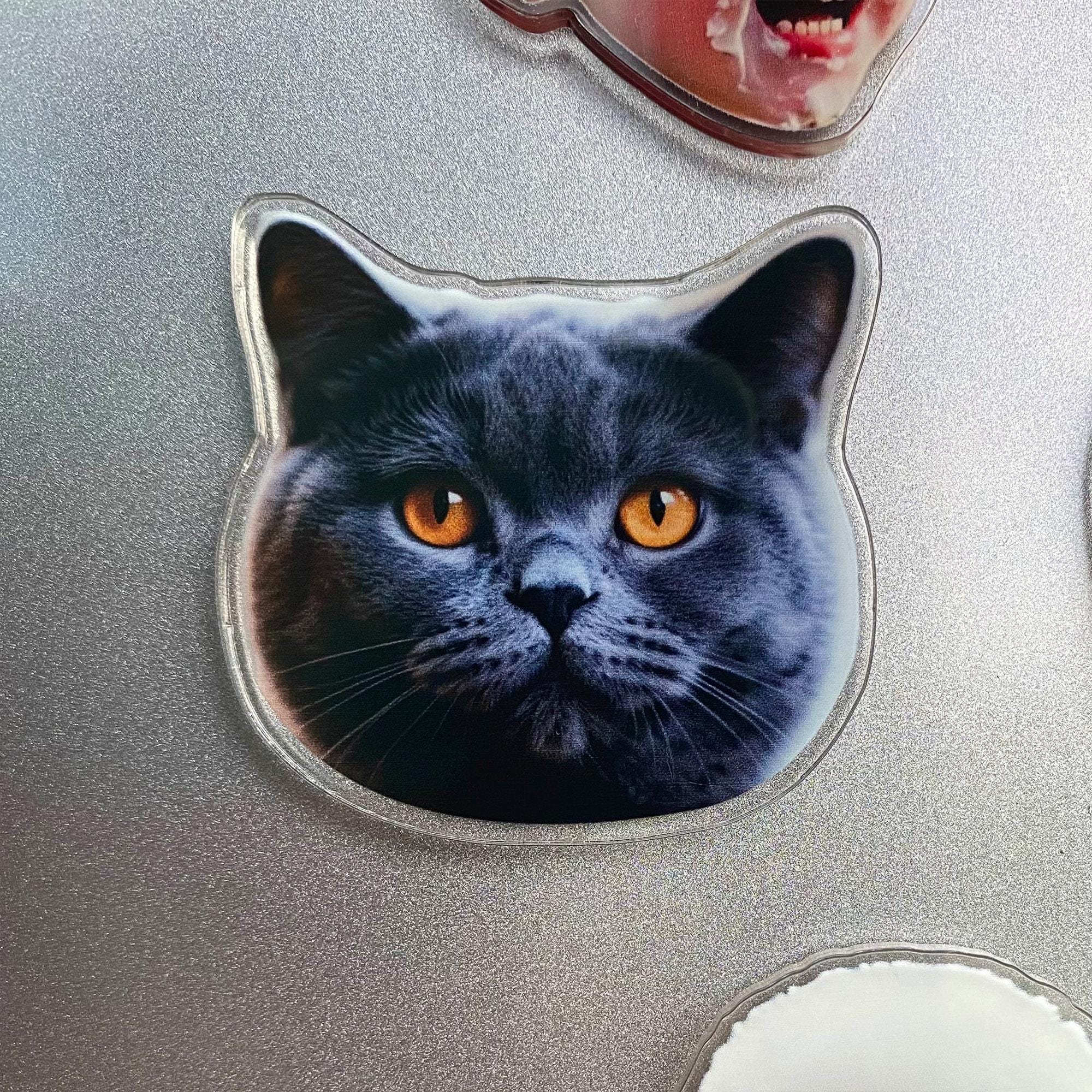 Custom Shaped Fridge Magnet, Photo Refrigerator Magnet, Cut Pet Magnet, Family Vacation Photo Magnet, Face Picture Magnet, Photo Print Gift